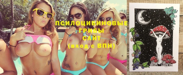 мяу мяу мука Михайлов