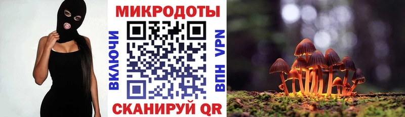 Купить  Пятигорск  Галлюциногенные грибы мицелий 